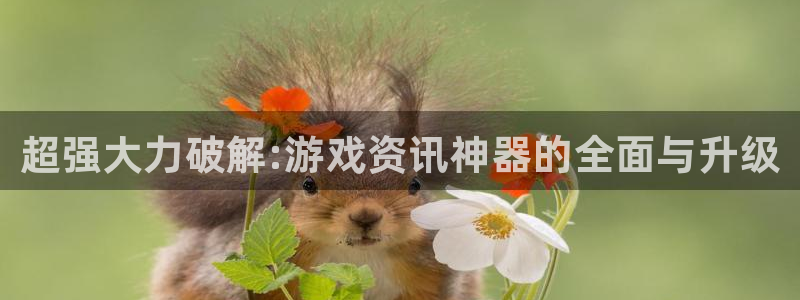 蓝冠娱乐平台负责人：超强大力破解:游戏资讯神器的全面与升级