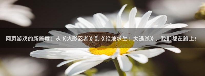 蓝冠娱乐网页登录入口官网：网页游戏的新篇章：从《火影忍者》到