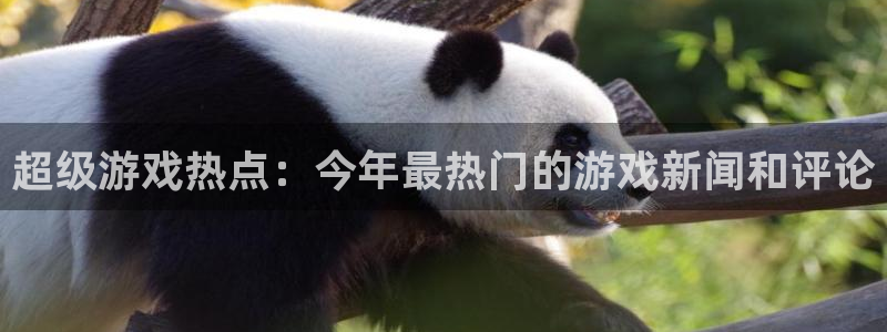 蓝冠娱乐平台官网登录：超级游戏热点：今年最热门的游戏新闻和评