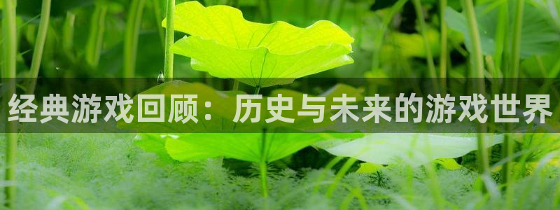 蓝冠娱乐登陆：经典游戏回顾：历史与未来的游戏世界